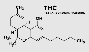 THC Molecule structure