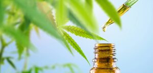 CBD Topicals for Pain Relief